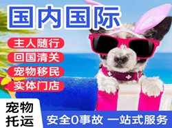 库车龟兹机场货运国际宠物托运 【国